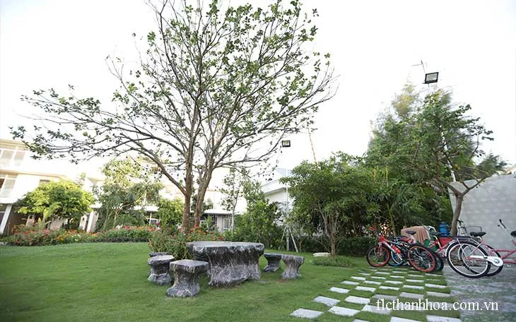 Dolphin Villa KT6-05